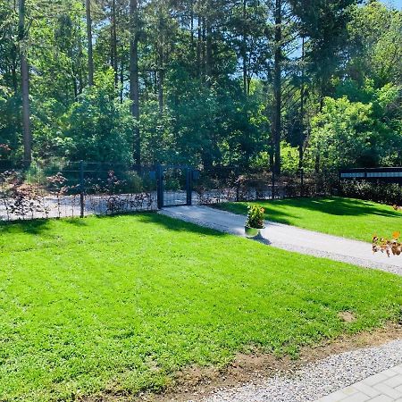 Ferienhaus 2 Im Harz Niehoff Darlingerode Zewnętrze zdjęcie