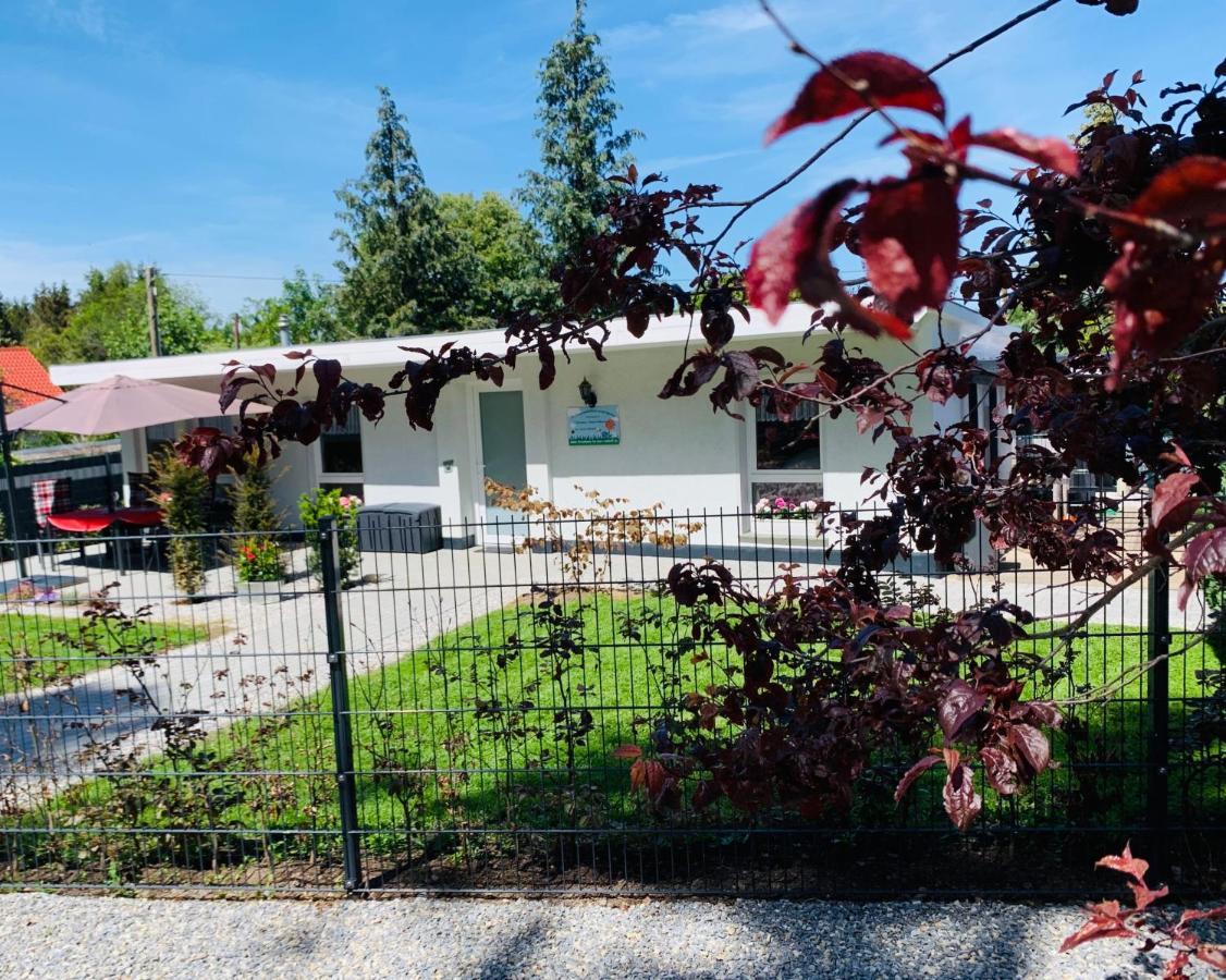 Ferienhaus 2 Im Harz Niehoff Darlingerode Zewnętrze zdjęcie
