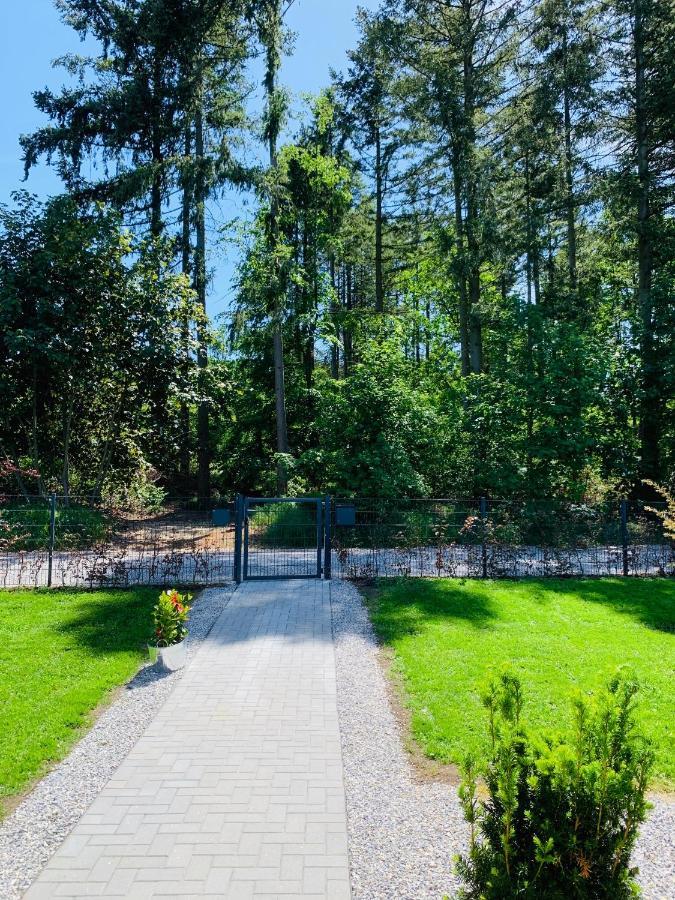 Ferienhaus 2 Im Harz Niehoff Darlingerode Zewnętrze zdjęcie